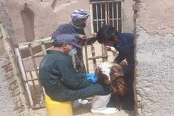 واکسیناسیون 3000 رأس بره و بزغاله بر علیه بروسلوز در شهرستان یزد
